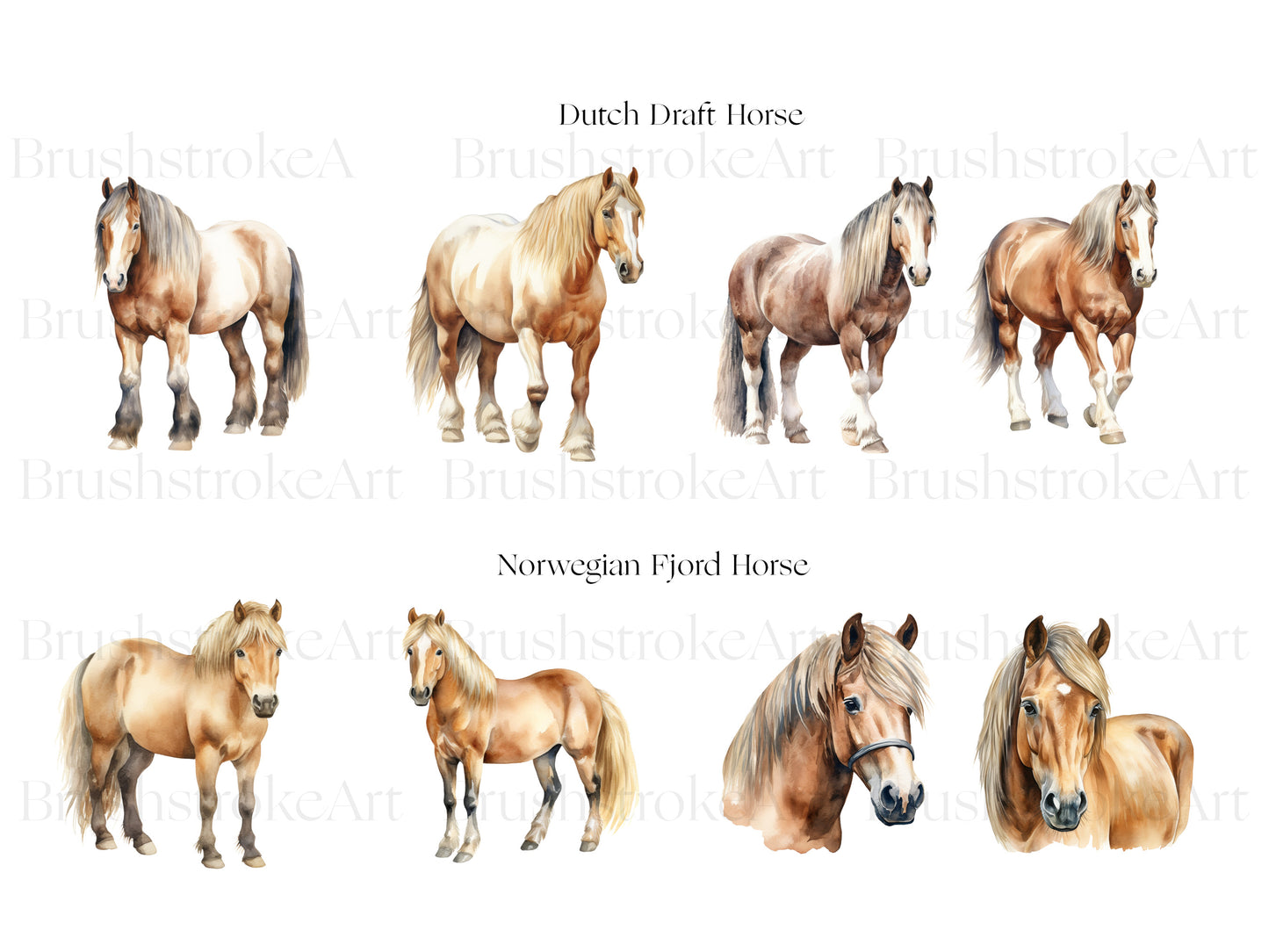 Draft Horse