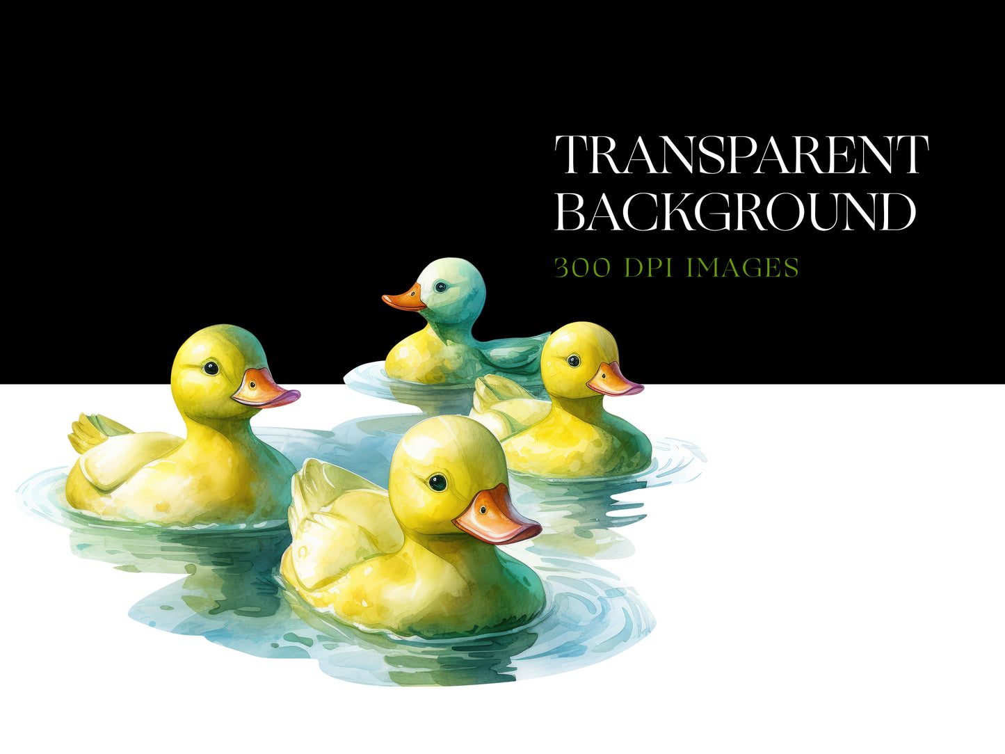Duck PNG