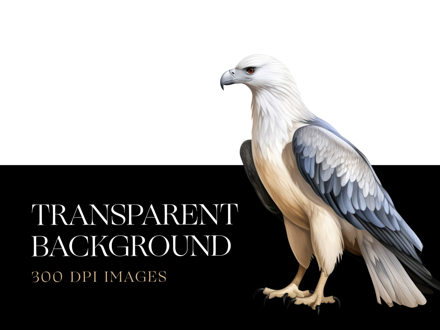 Eagle PNG