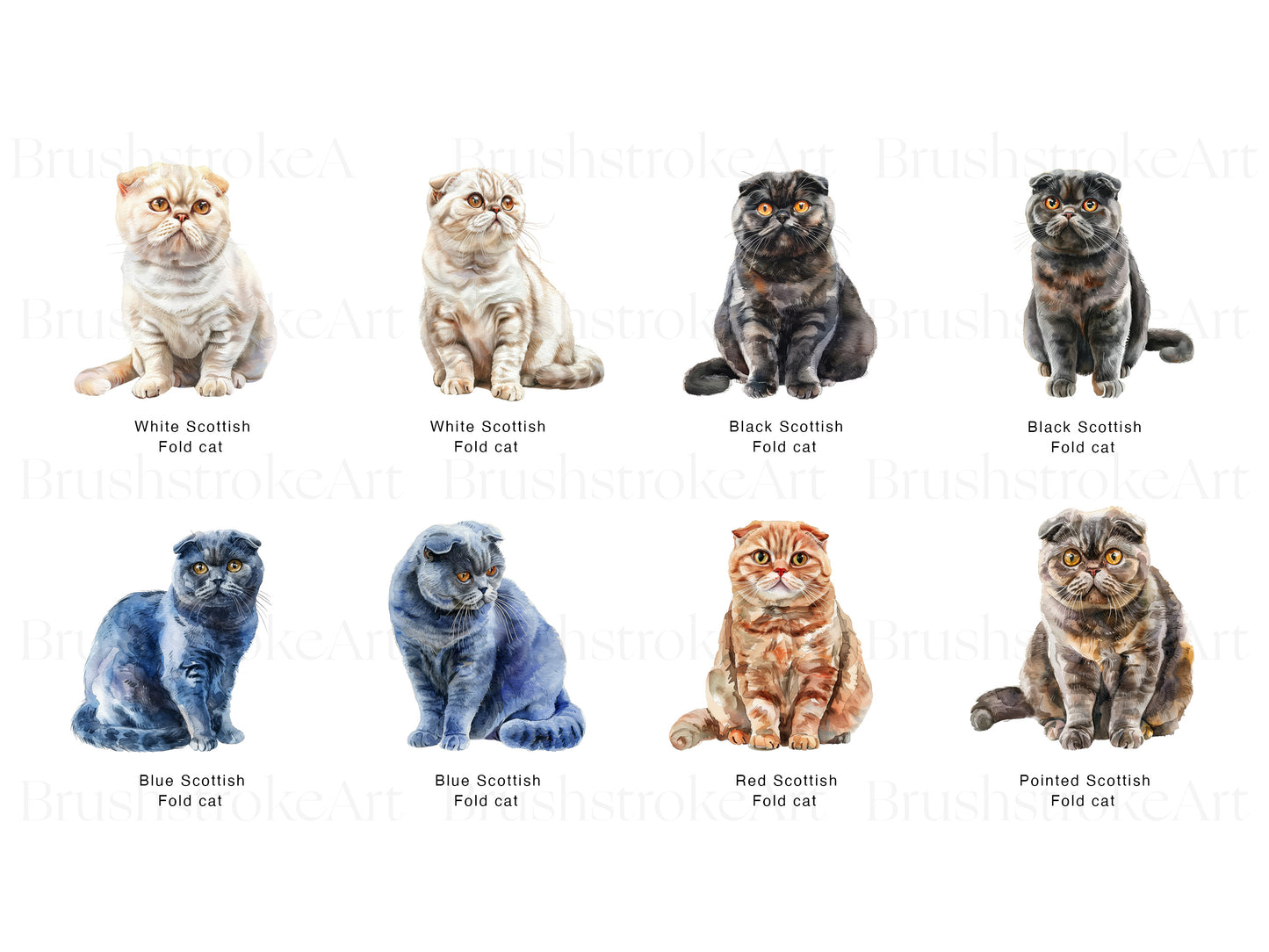 English Cat