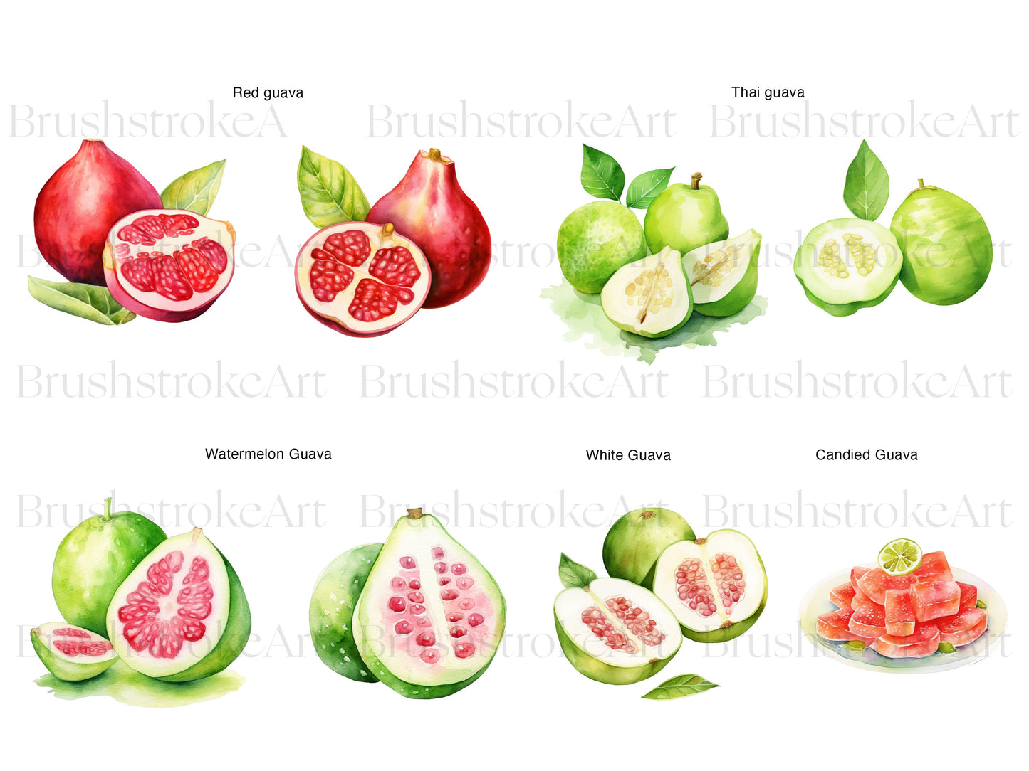 Exotic Fruits