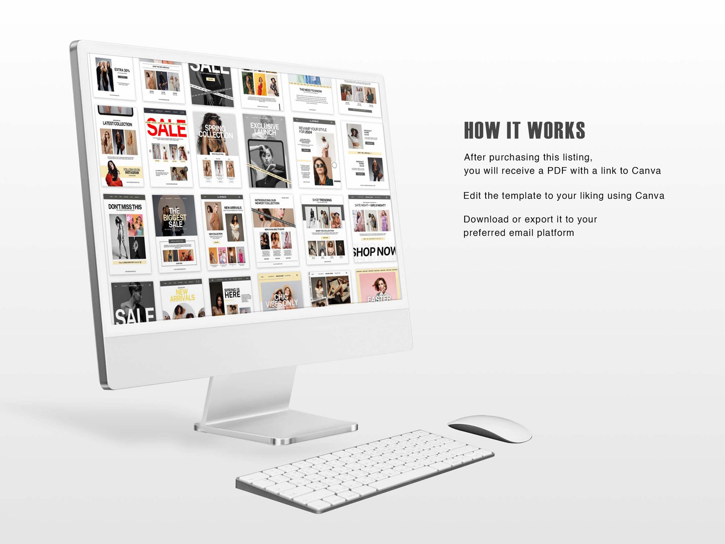 Fashion Shopify E mail Marketing