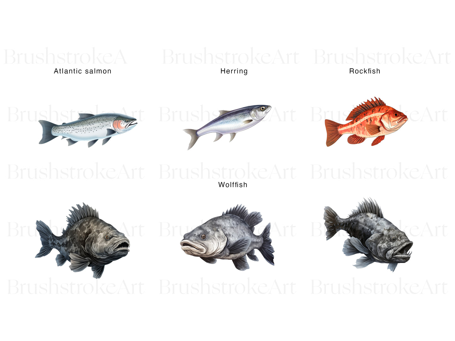 Fish Art