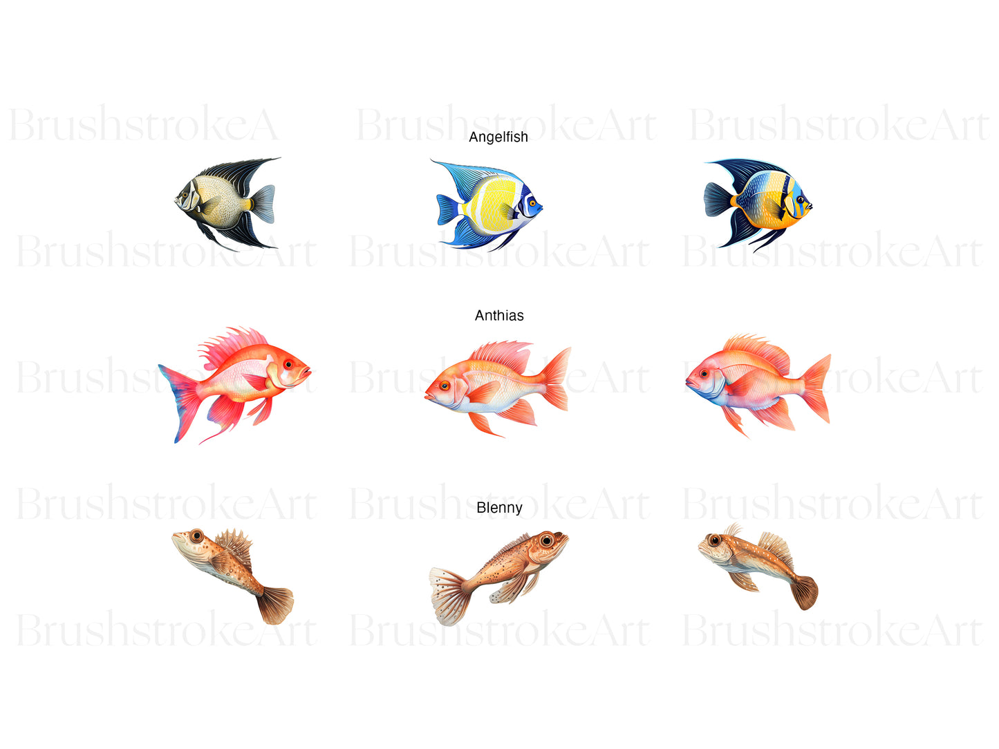Fish Clipart