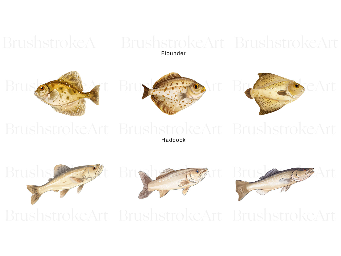 Fish Graphics