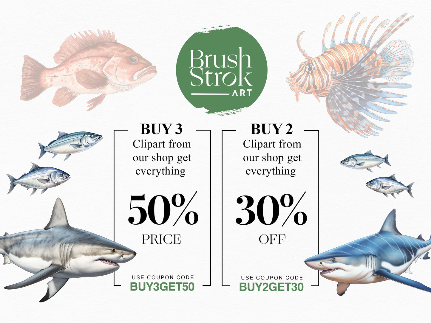 Fish Illustration