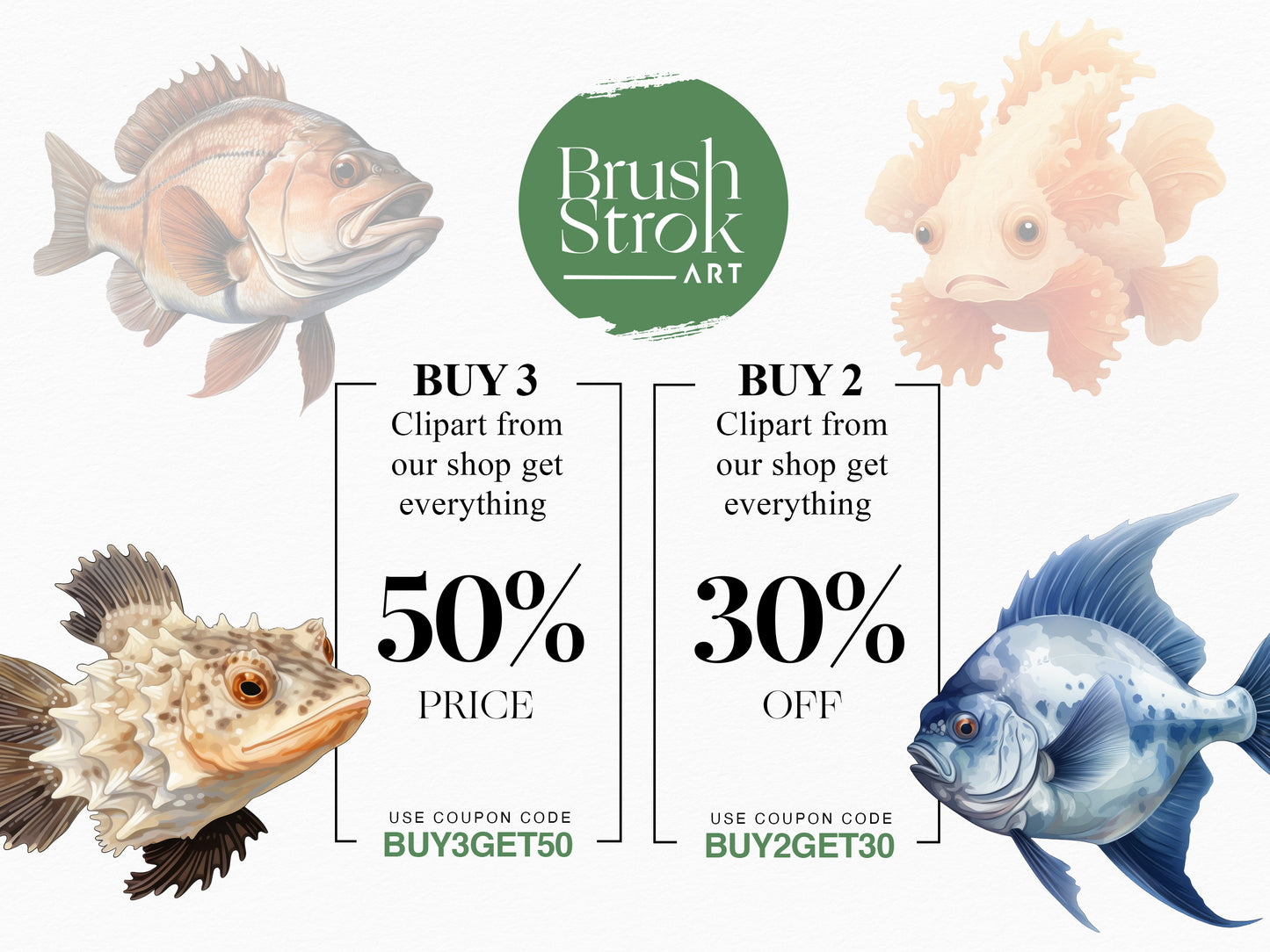 Fish Illustration