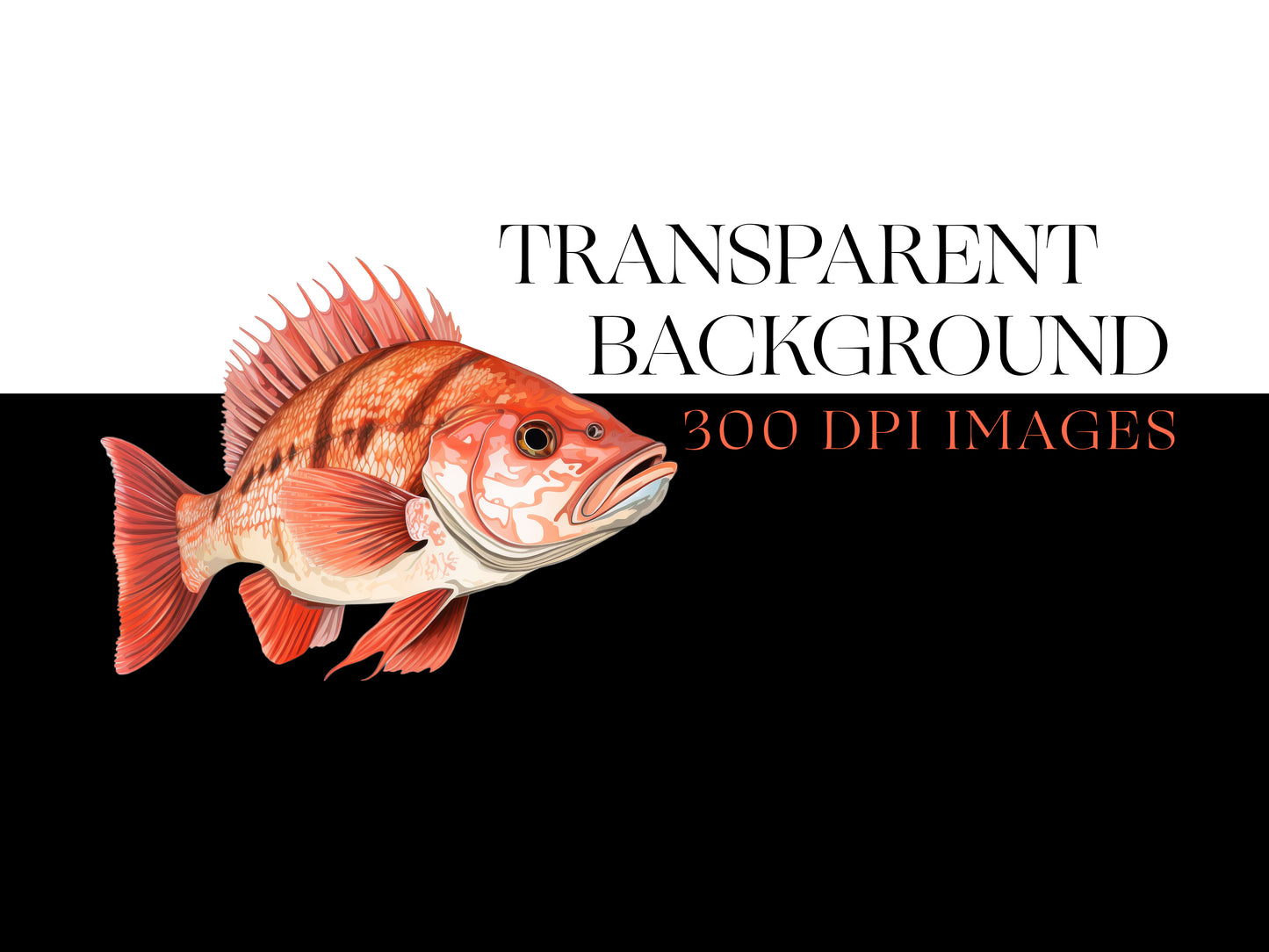 Fish PNG