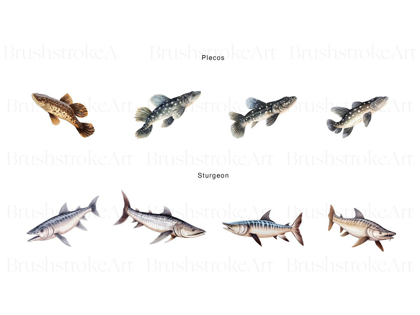 Fish Species Clipart