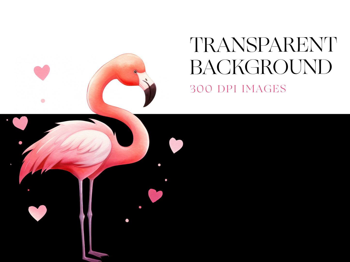 Flamingo PNG