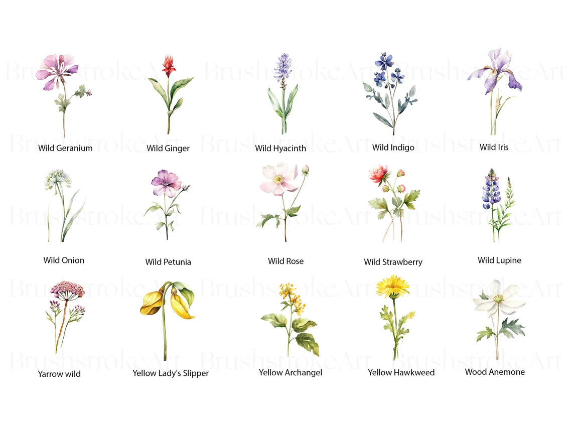 Flowers