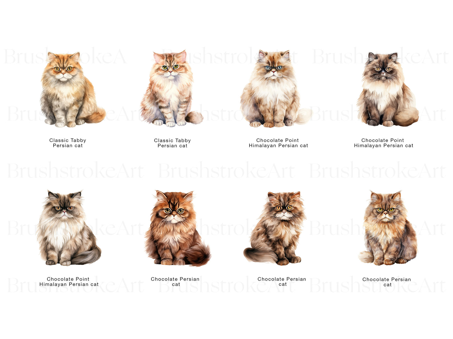 Fluffy Cat PNG