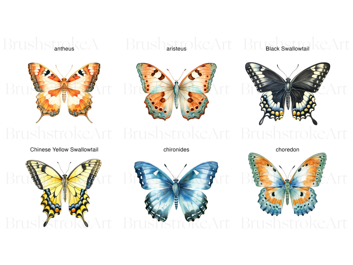 Flutter Butterfly