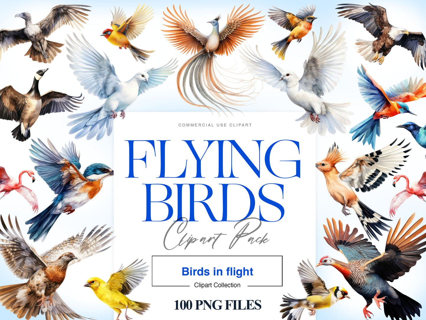 Flying Birds