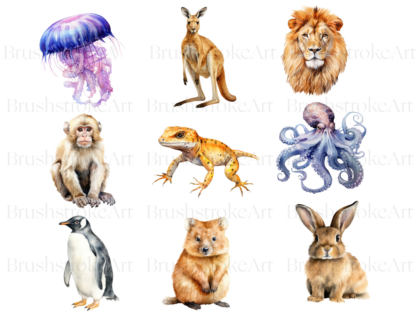 Forest Animals