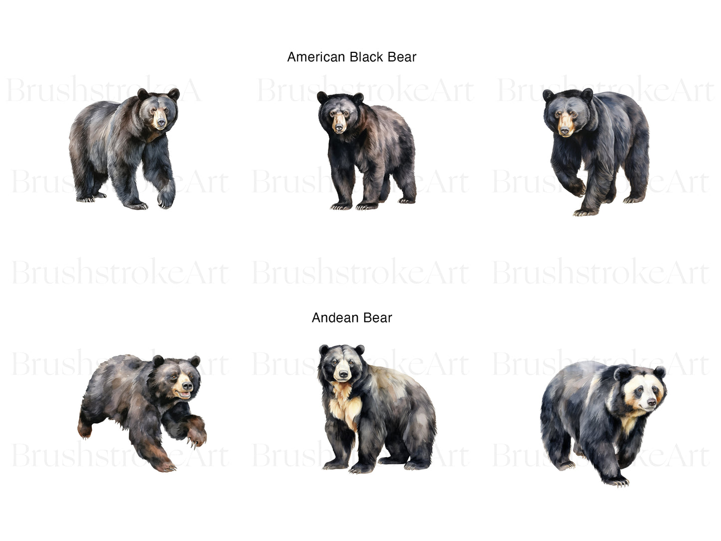 Forest Bear Clipart