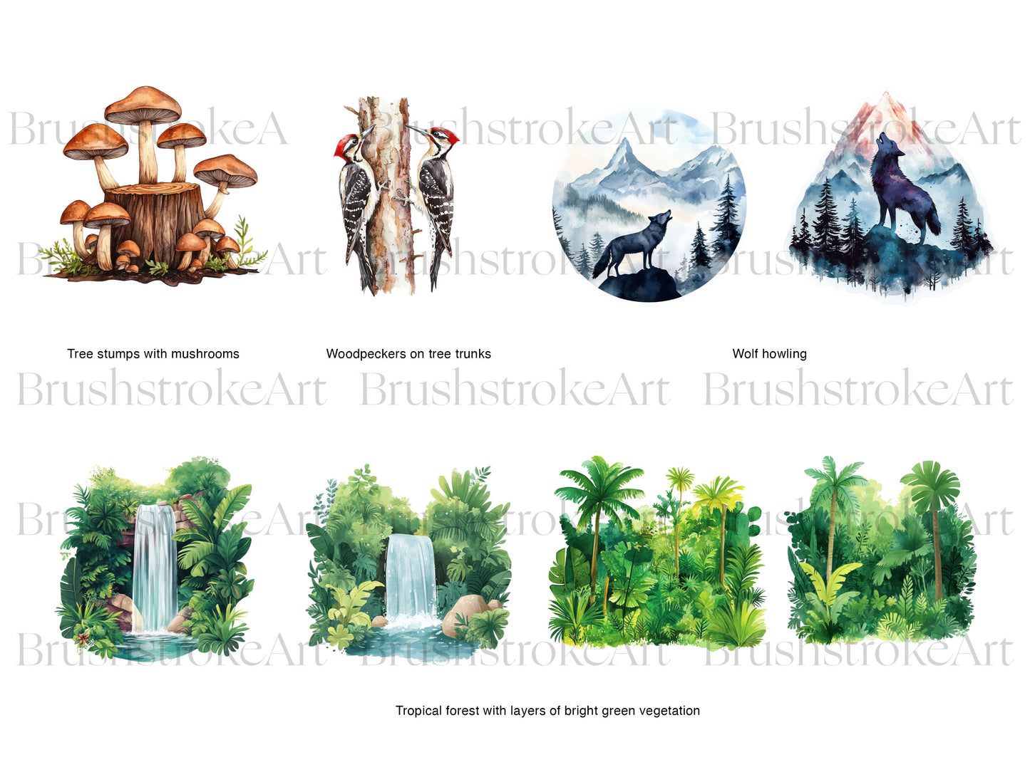 Forest Landscape