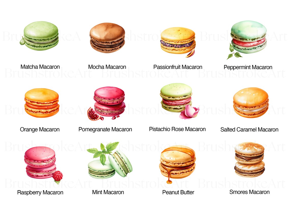 French Macaron