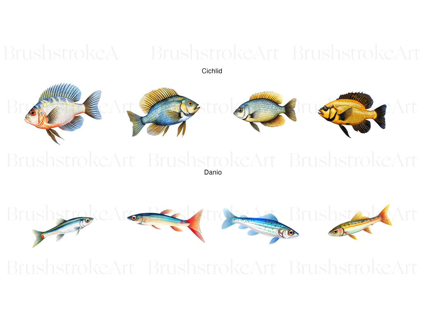Tropical Fish Clipart, Guppies, Betta Fish, Pet Fish PNG