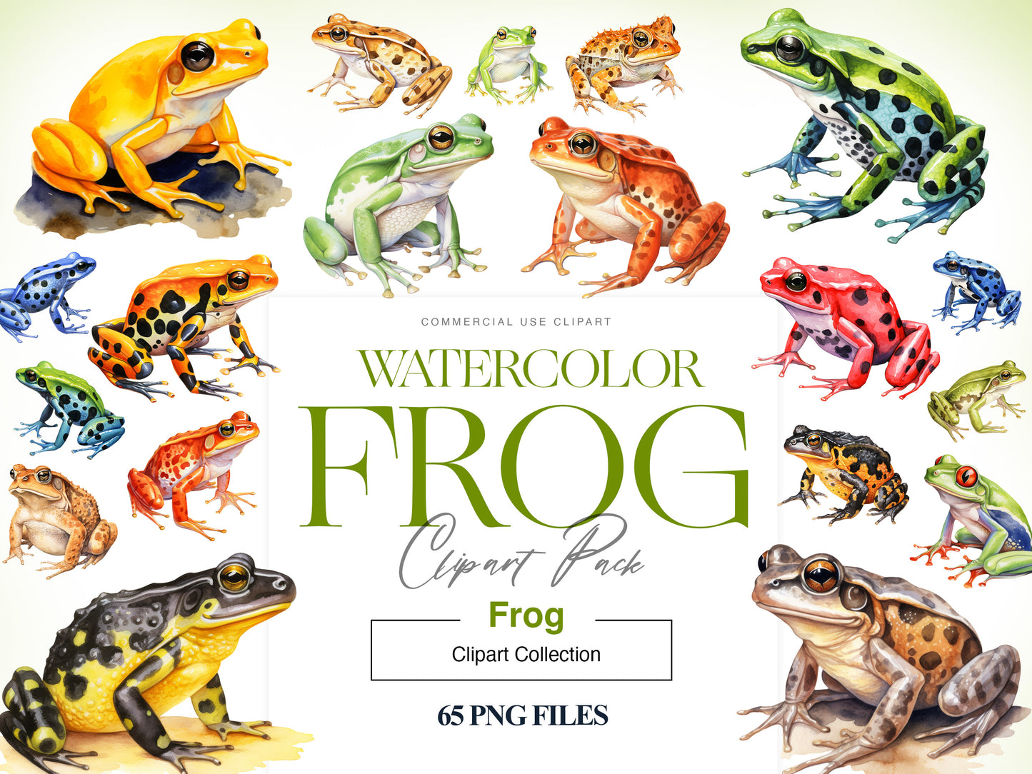 Watercolor Frog Clipart, Cane Toad, Leopard Frog PNG, Toad