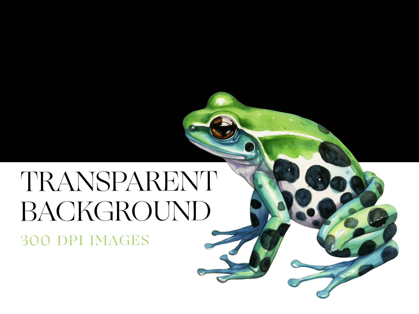 Watercolor Frog Clipart, Cane Toad, Leopard Frog PNG, Toad