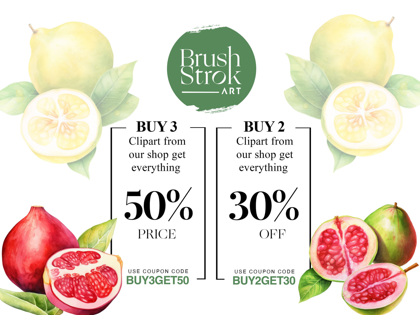 Fruits Illustration