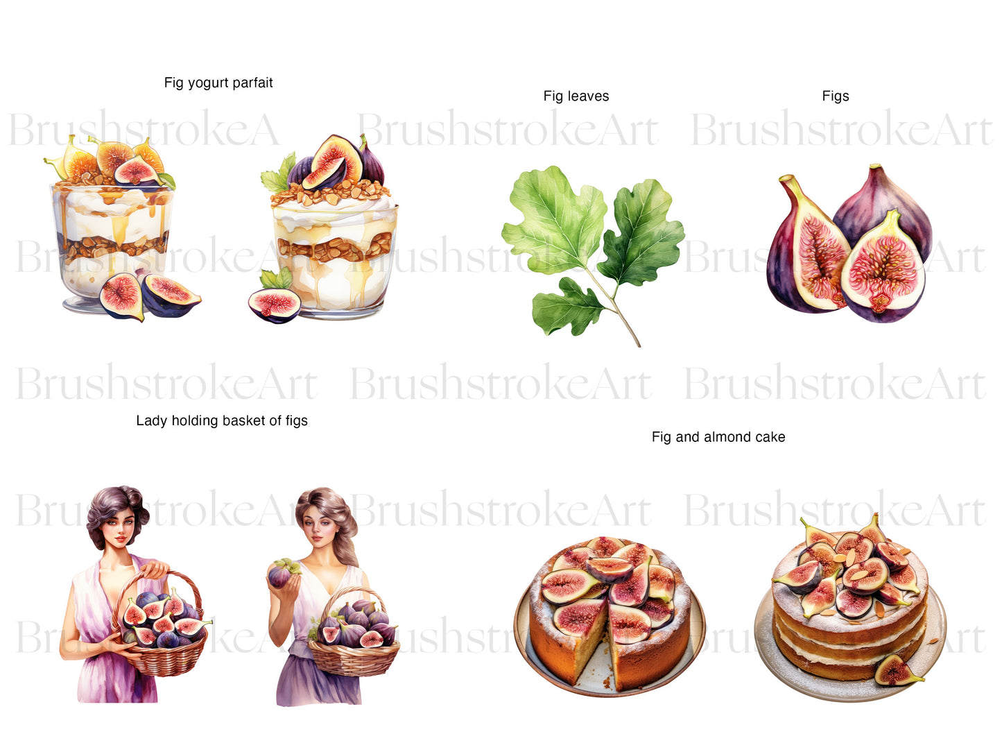 Watercolor Figs Clipart, Tropical Fruit, Figs PNG, Exotic