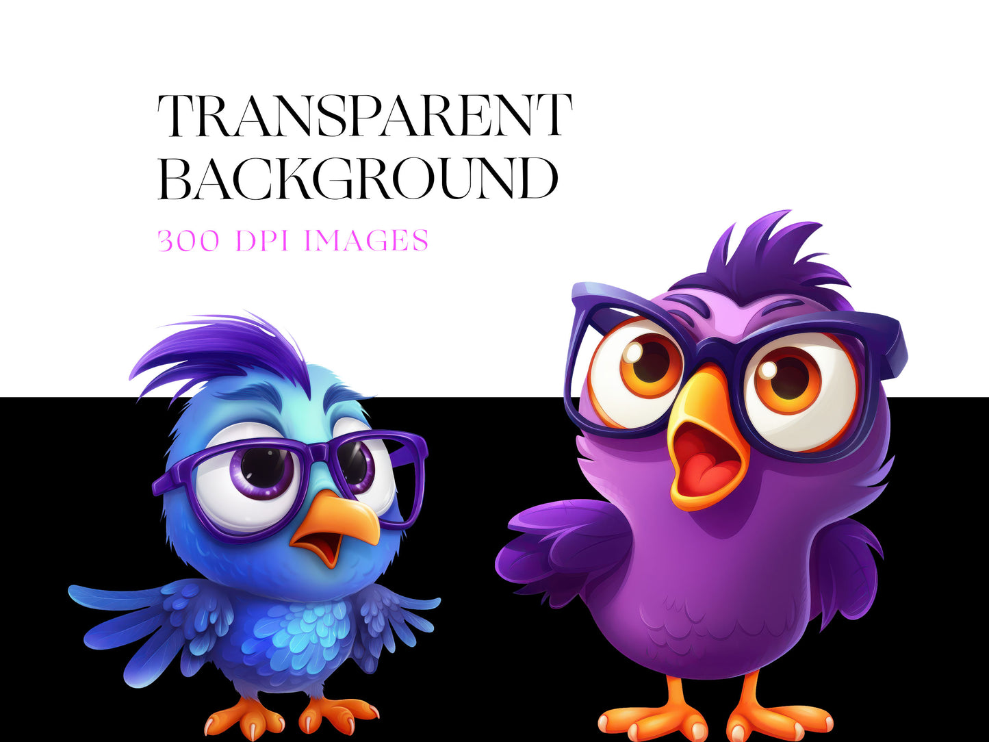 Funny Bird PNG