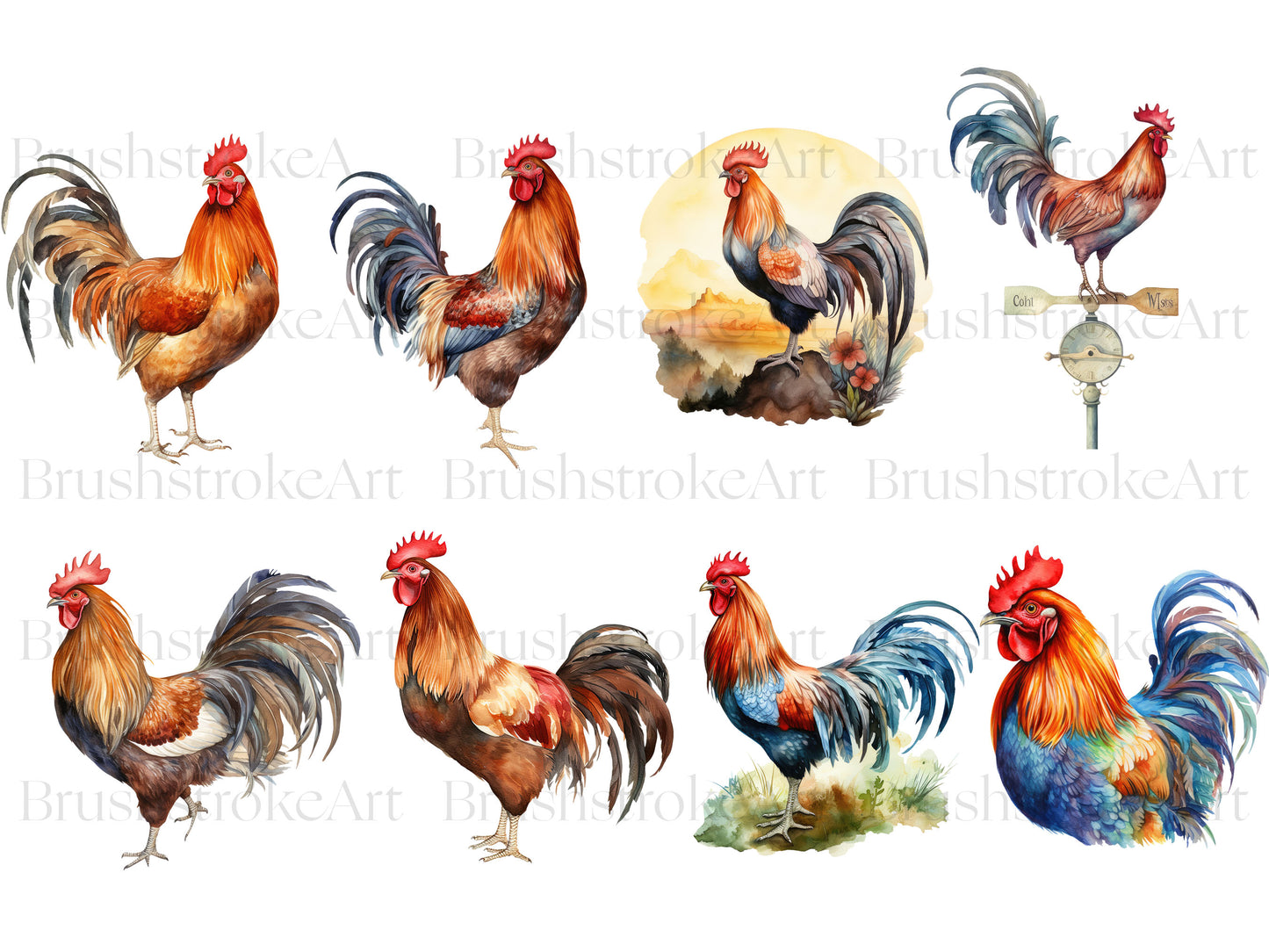 Funny Rooster