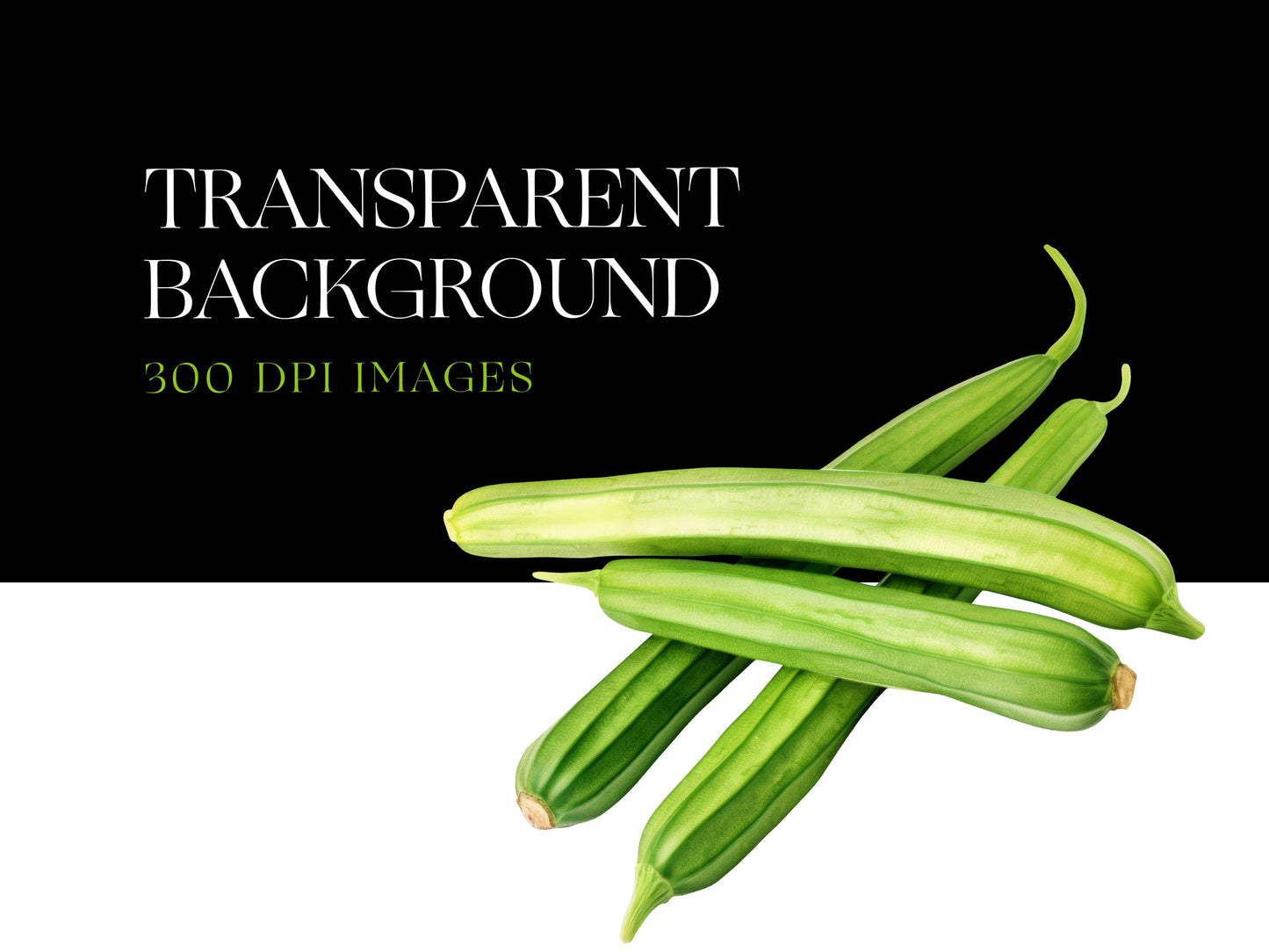 Garden Vegetable PNG