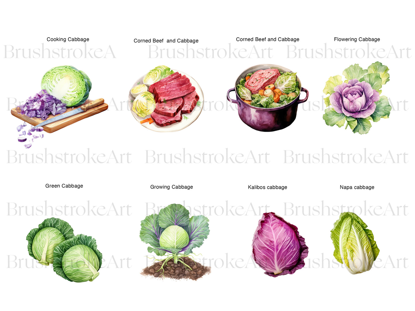 Garden Vegetable