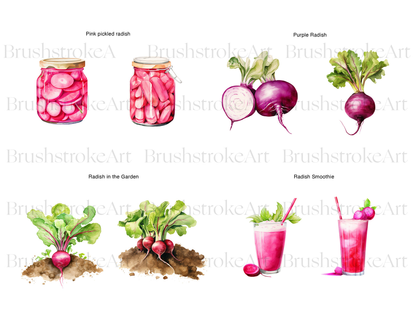 Garden Vegetable