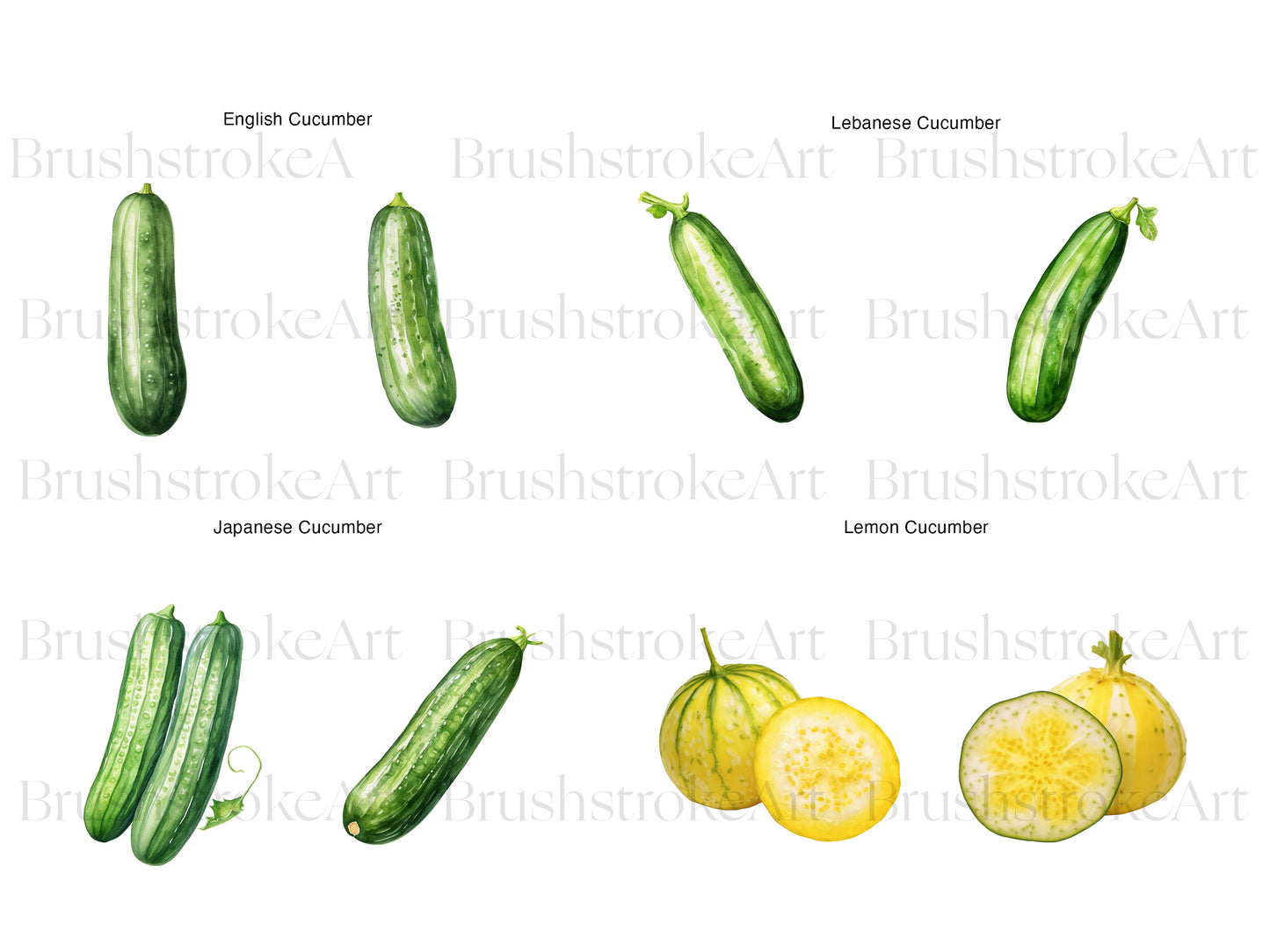 Garden Vegetables