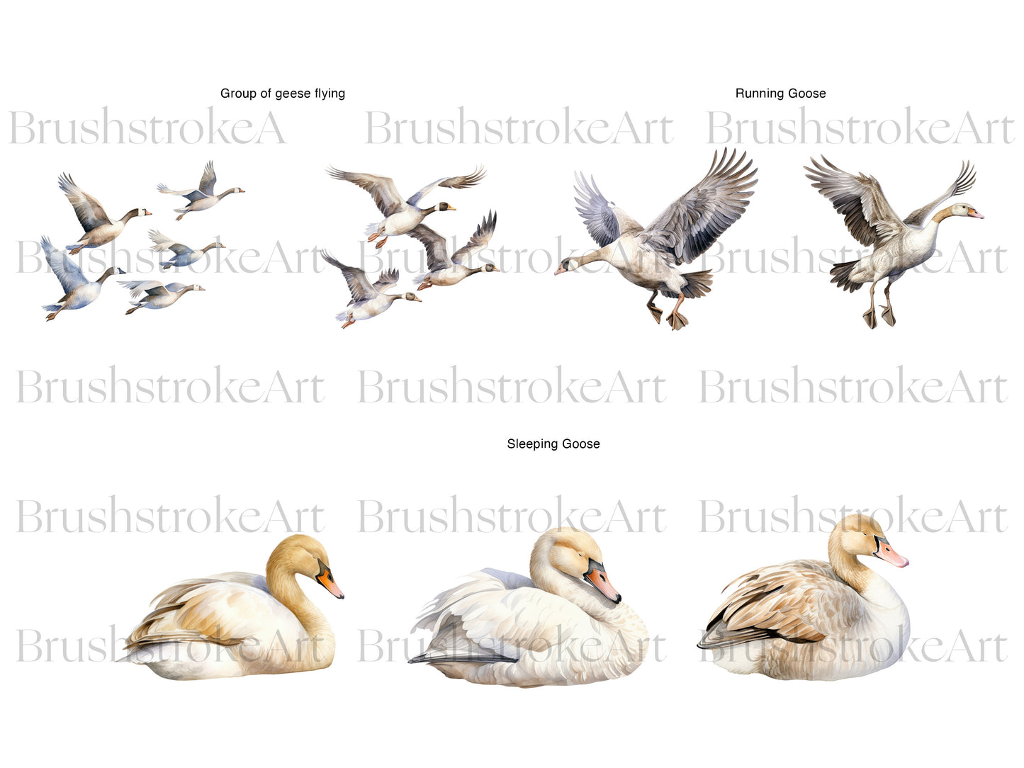 Geese Clipart
