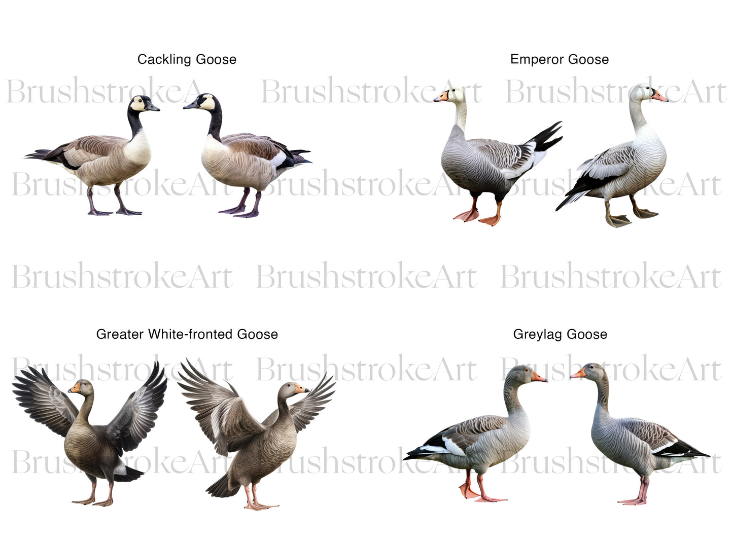 Geese Clipart