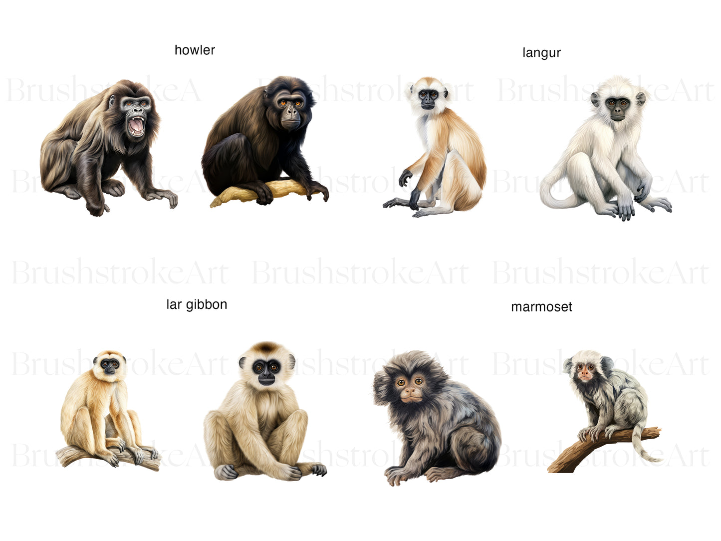 Gibbon Clipart