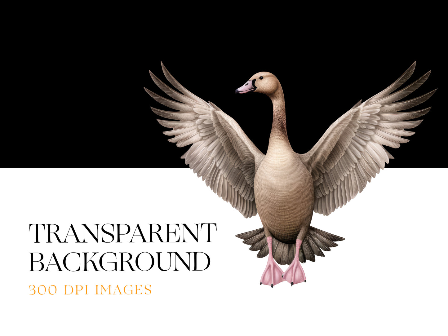 Goose PNG