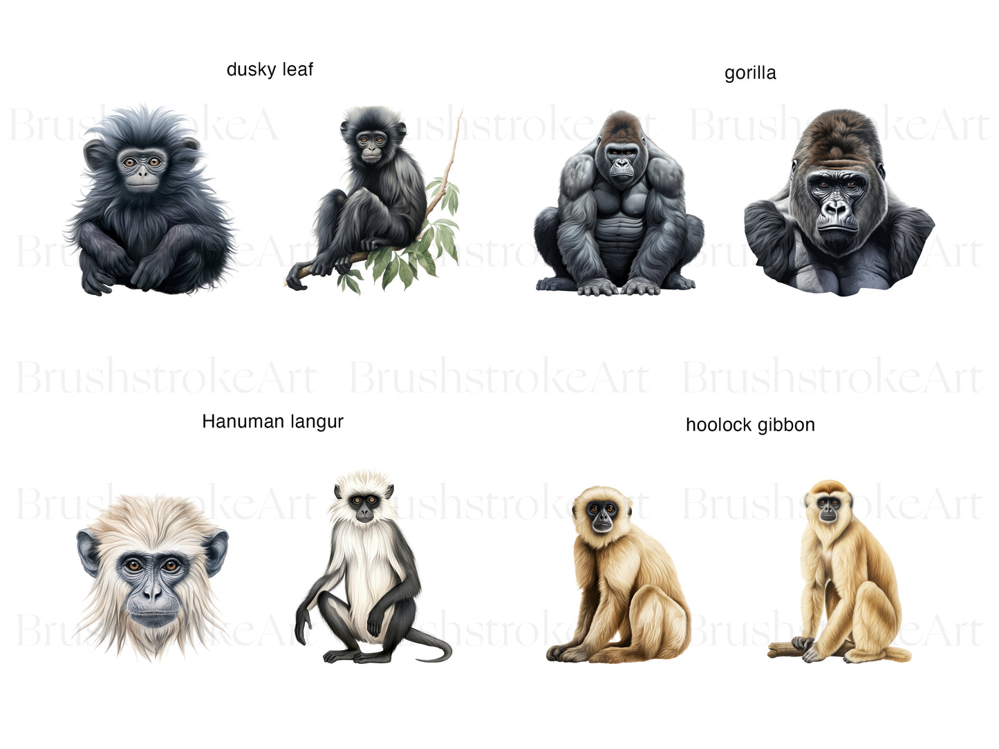 Gorilla Clipart