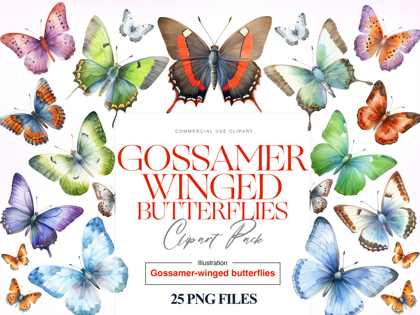 Gossamer Butterflies