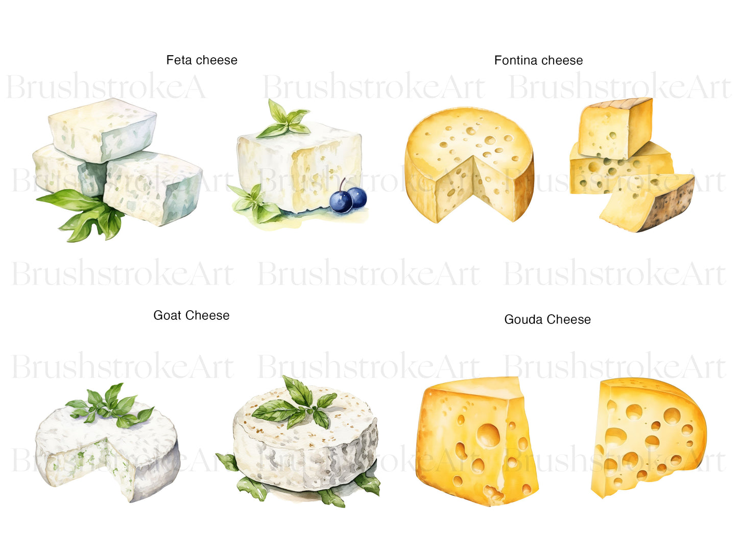 Gouda Cheese