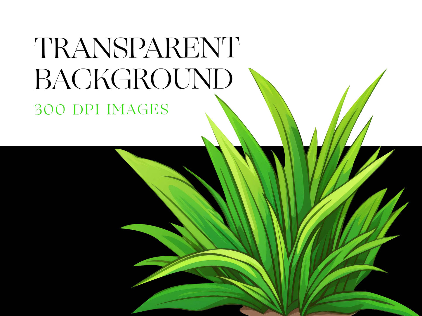 Grass PNG