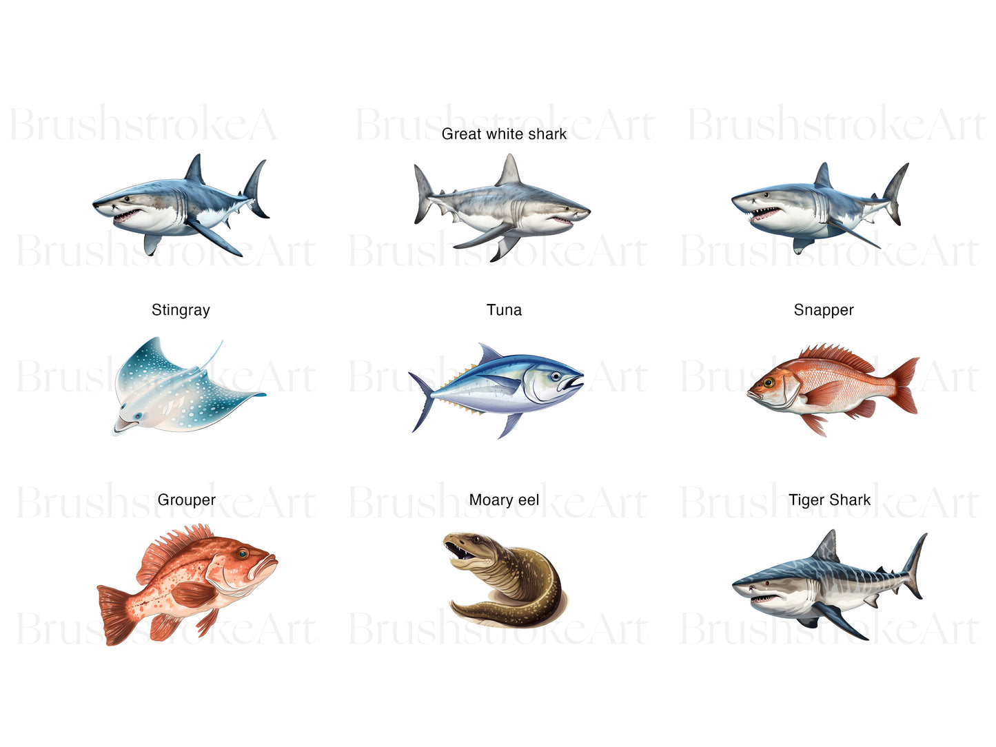 Great white shark