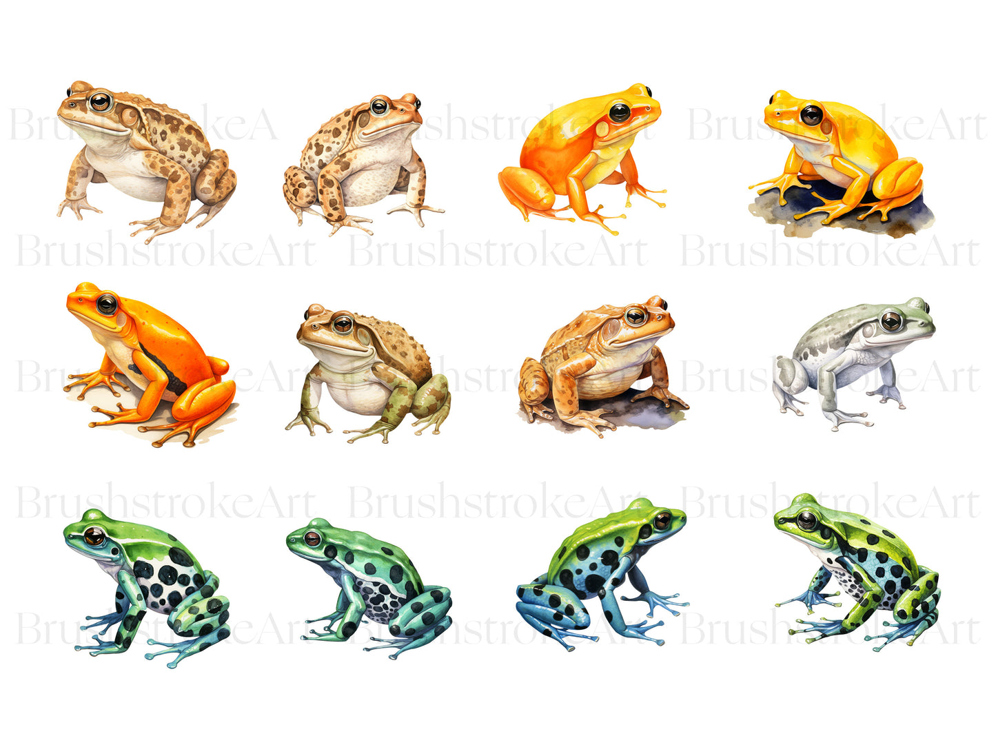 Watercolor Frog Clipart, Cane Toad, Leopard Frog PNG, Toad