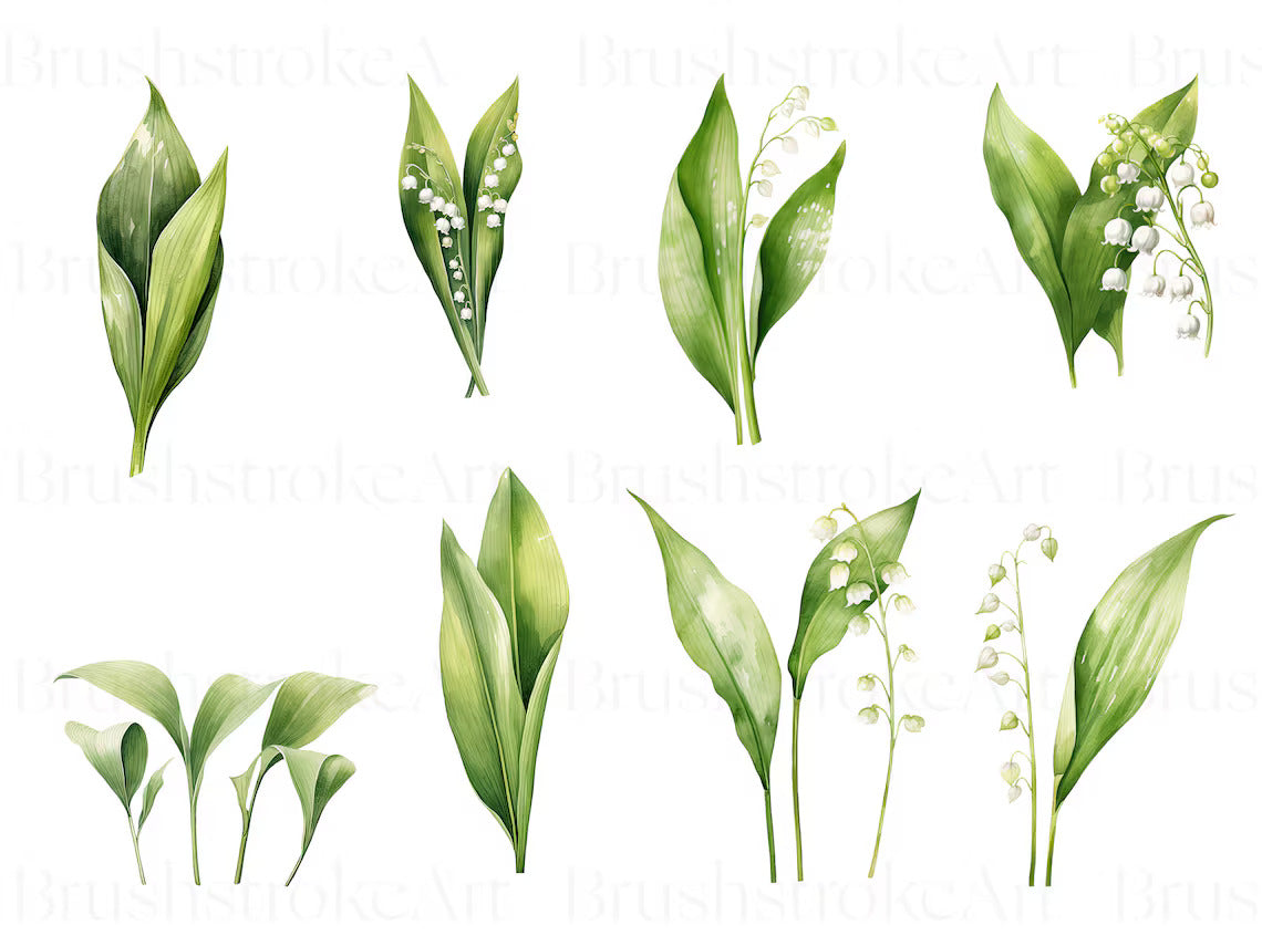 Green Leaf