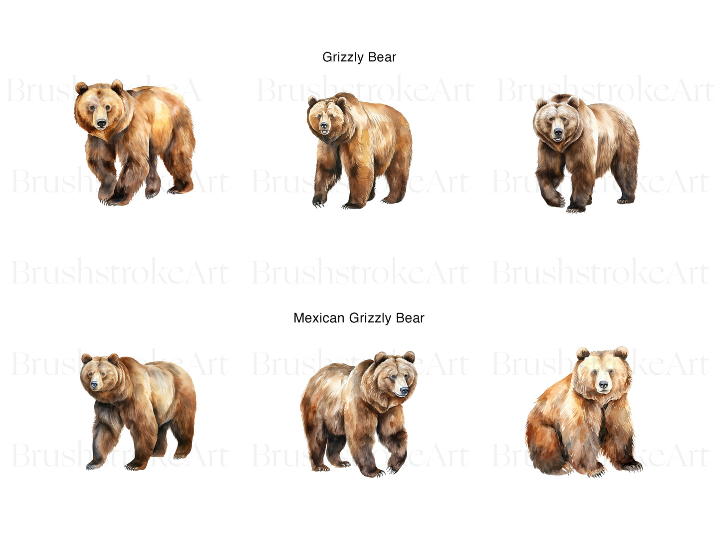 Grizzly Bear Clipart