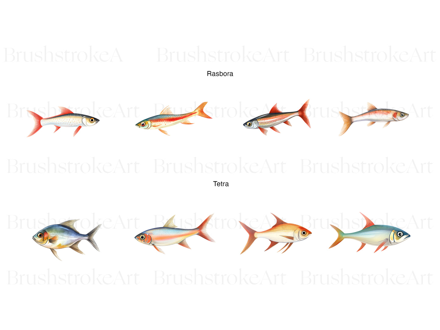Tropical Fish Clipart, Guppies, Betta Fish, Pet Fish PNG