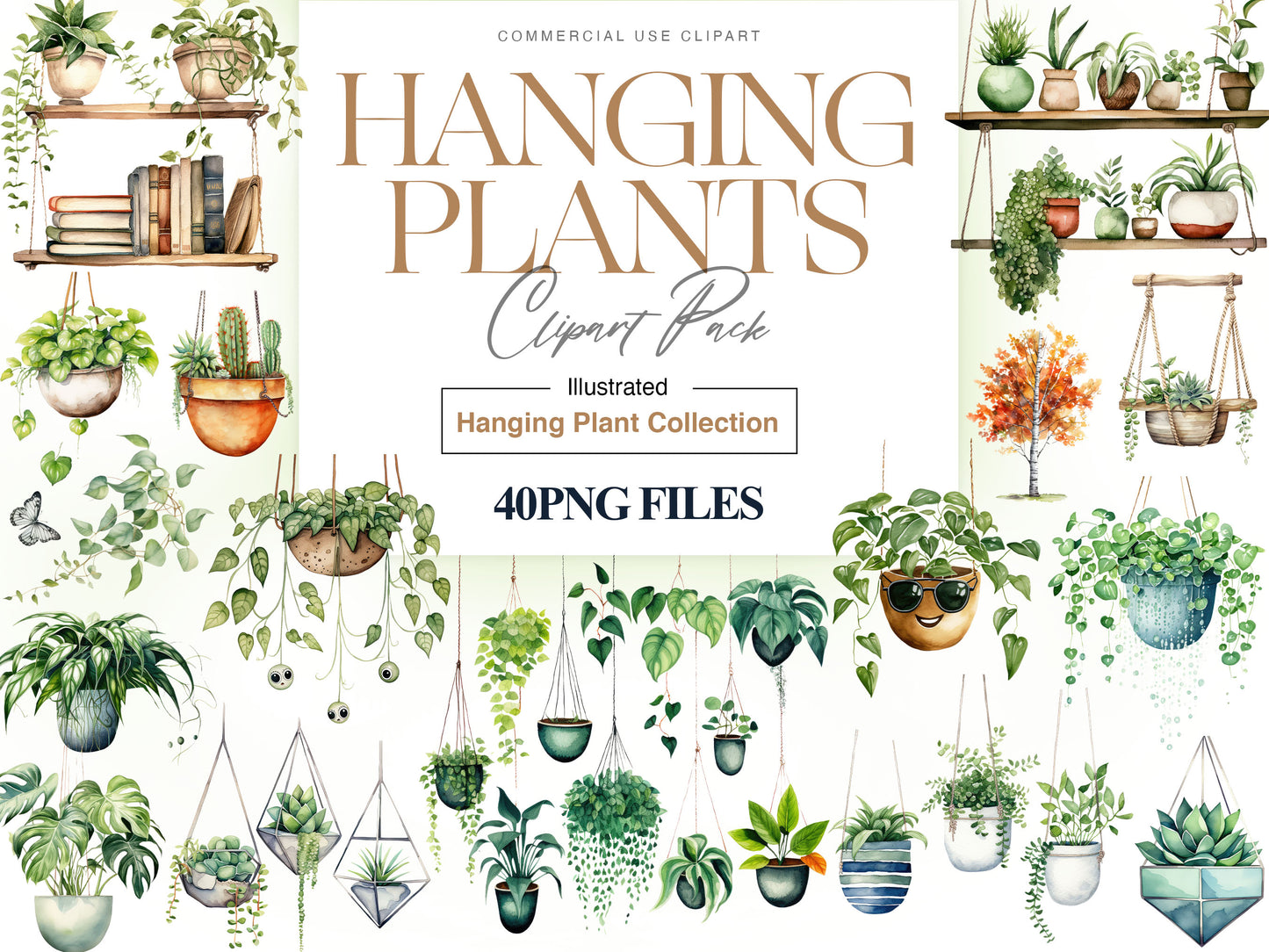 Hanging Plants