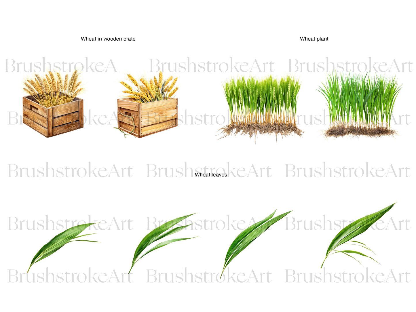 Harvest Clipart