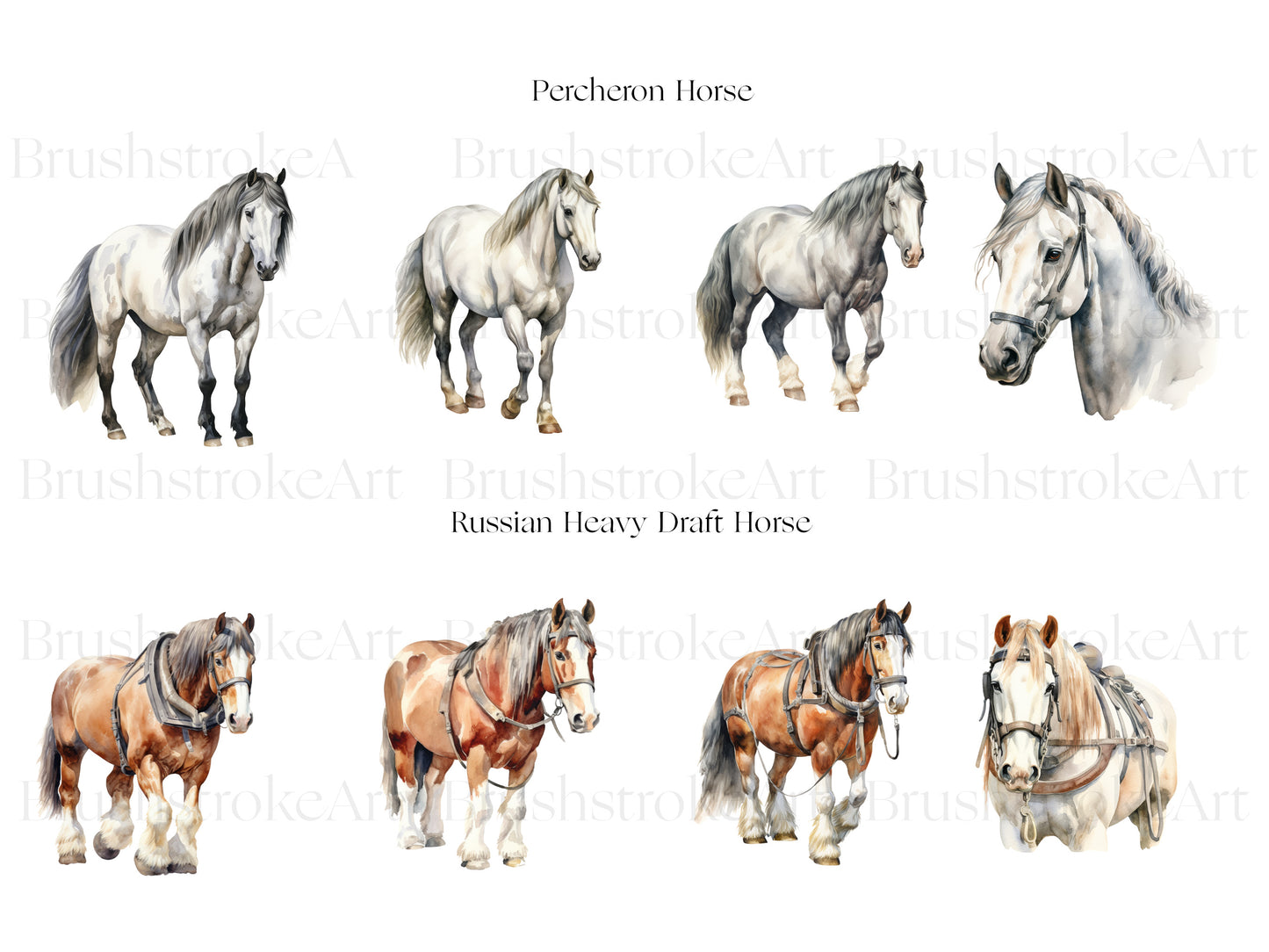 Heavy Horse Clipart
