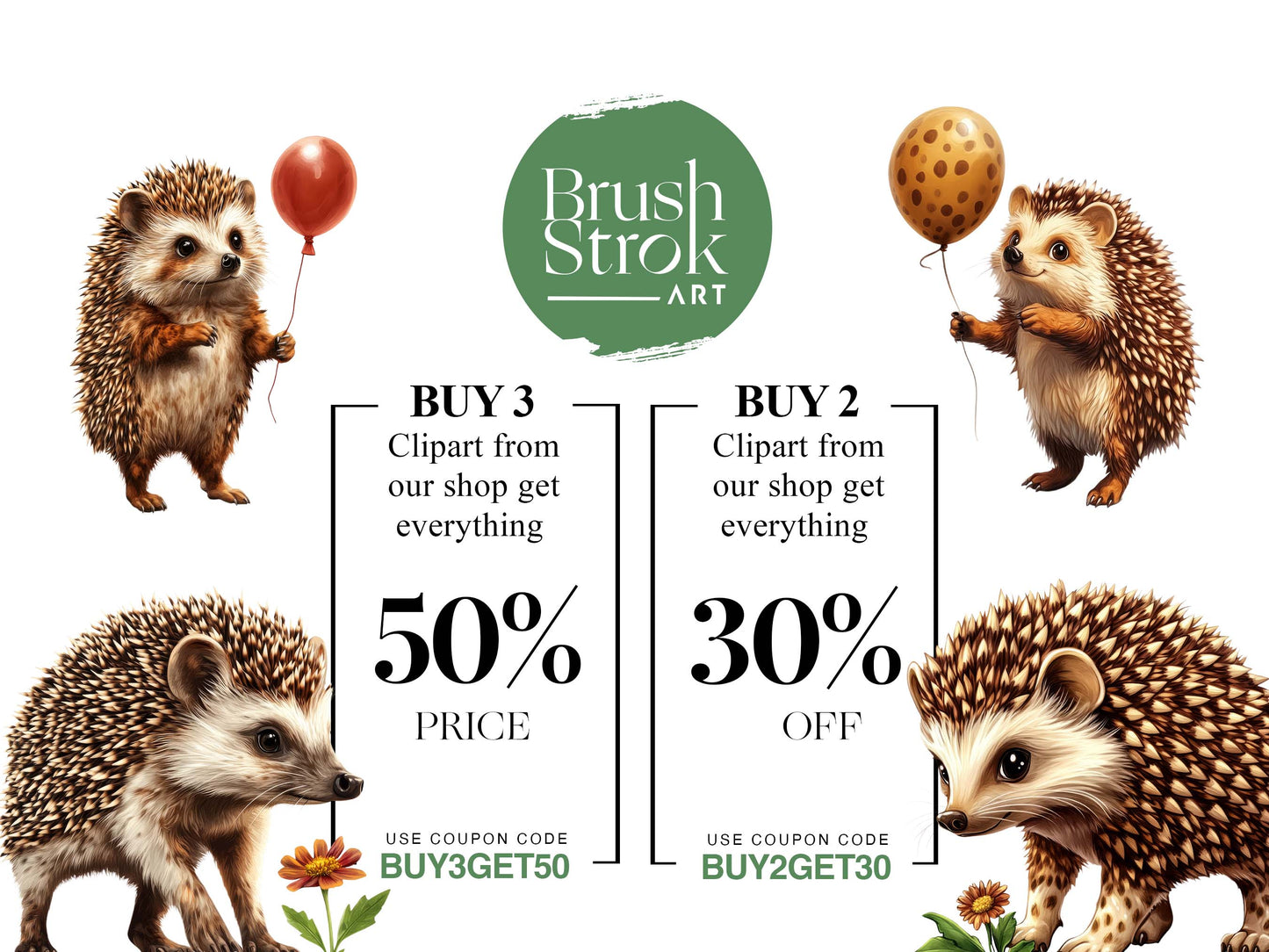 Hedgehog Images